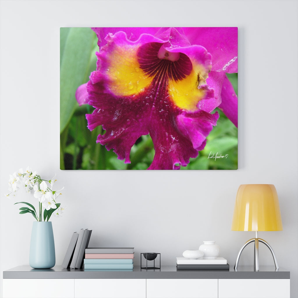 Original Art Premium Gallery Canvas by Linda Goodman