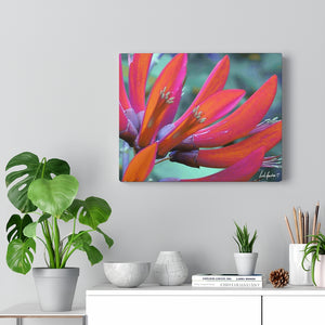 Original Art Premium Gallery Canvas by Linda Goodman