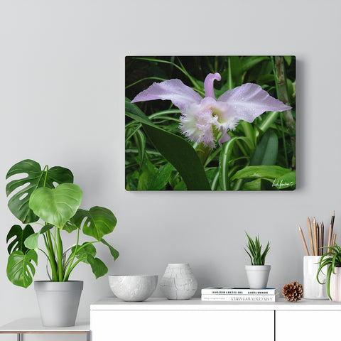 Original Art Premium Gallery Canvas by Linda Goodman