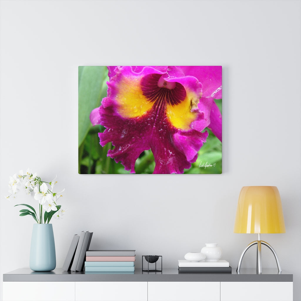 Original Art Premium Gallery Canvas by Linda Goodman
