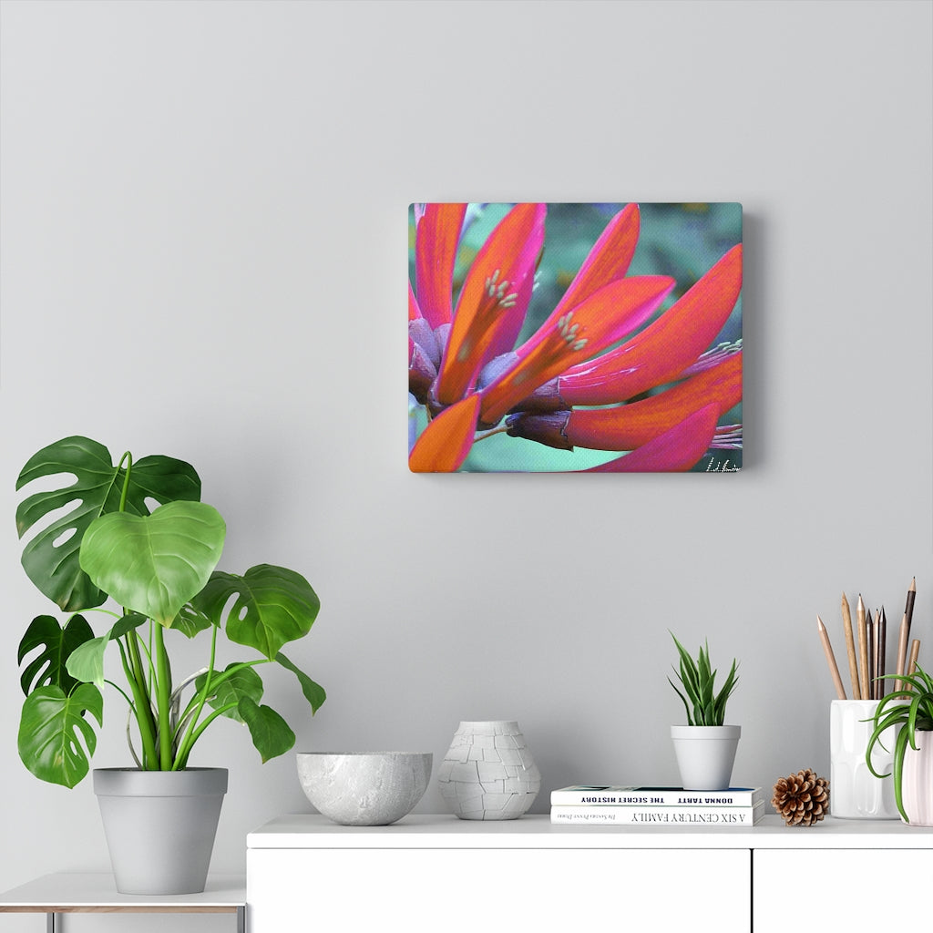 Original Art Premium Gallery Canvas by Linda Goodman