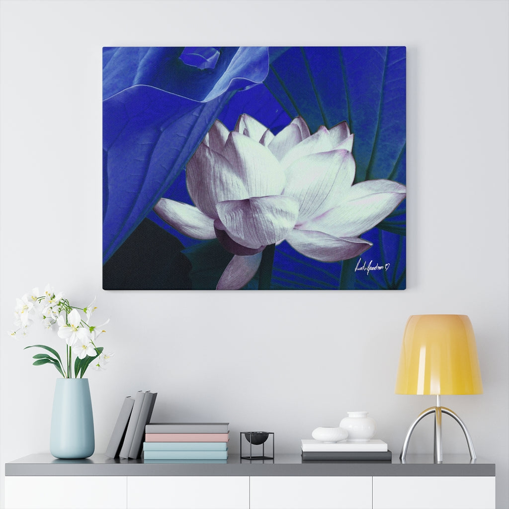Original Art Premium Gallery Canvas by Linda Goodman