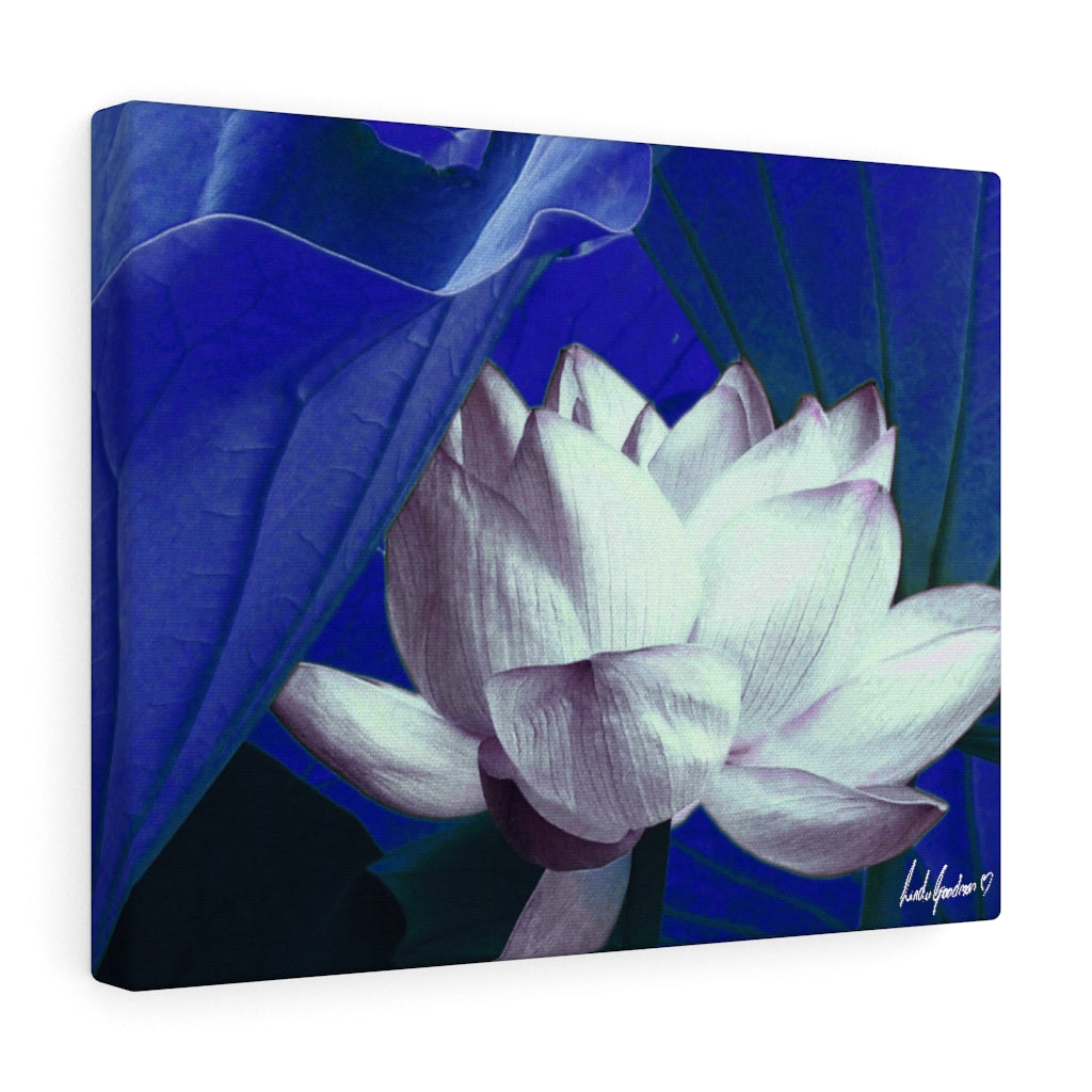 Original Art Premium Gallery Canvas by Linda Goodman