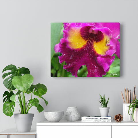 Original Art Premium Gallery Canvas by Linda Goodman