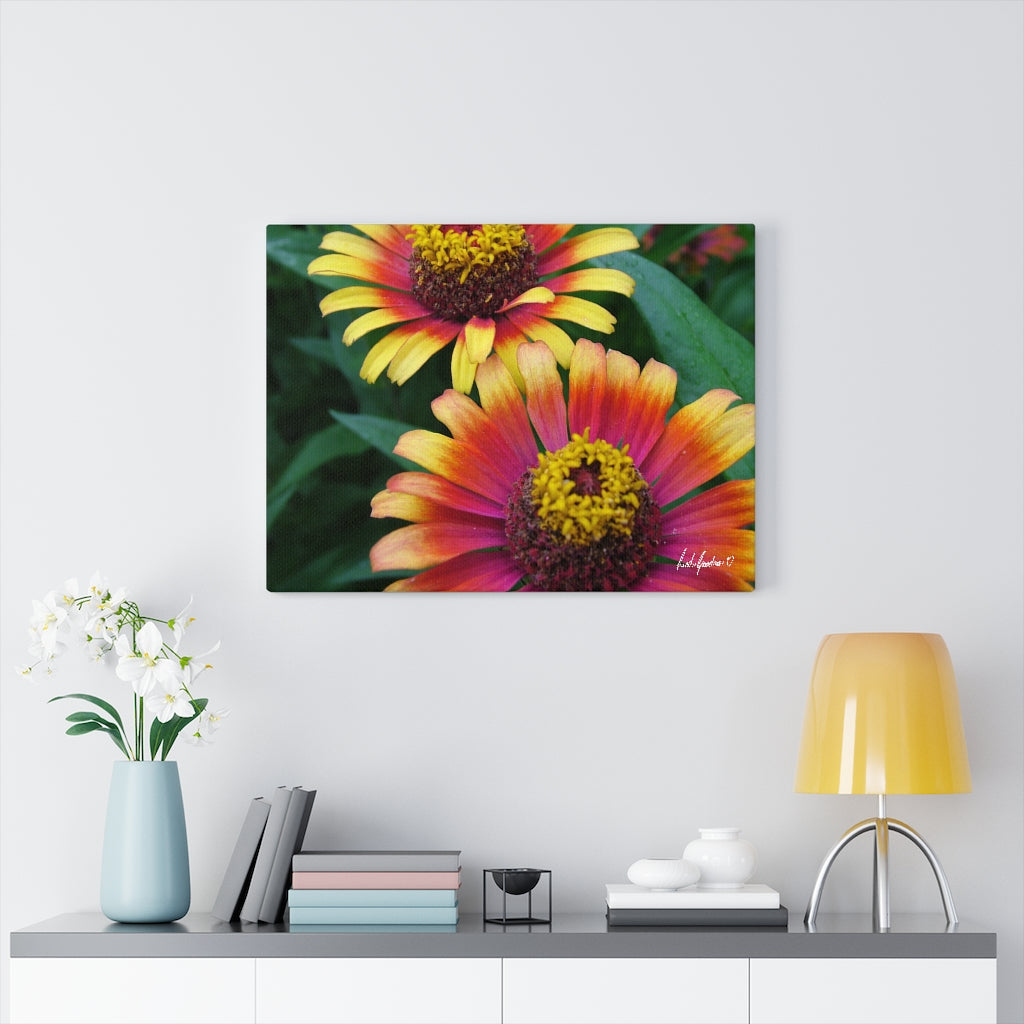 Original Art Premium Gallery Canvas by Linda Goodman