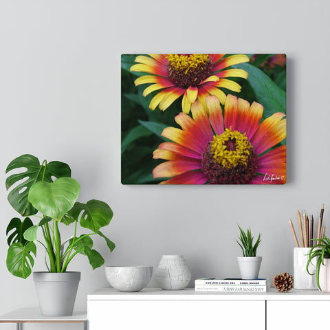 Original Art Premium Gallery Canvas by Linda Goodman