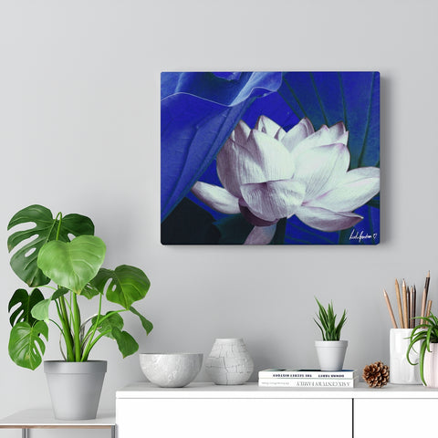 Original Art Premium Gallery Canvas by Linda Goodman