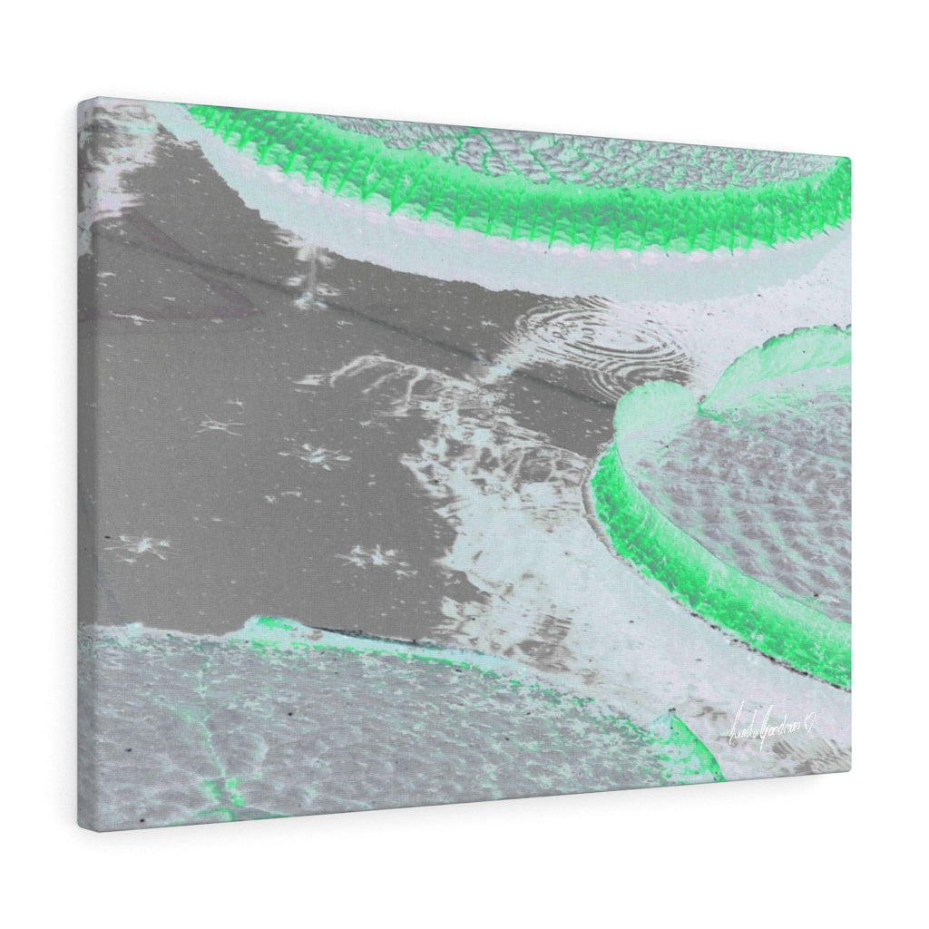 Original Art Premium Gallery Canvas by Linda Goodman