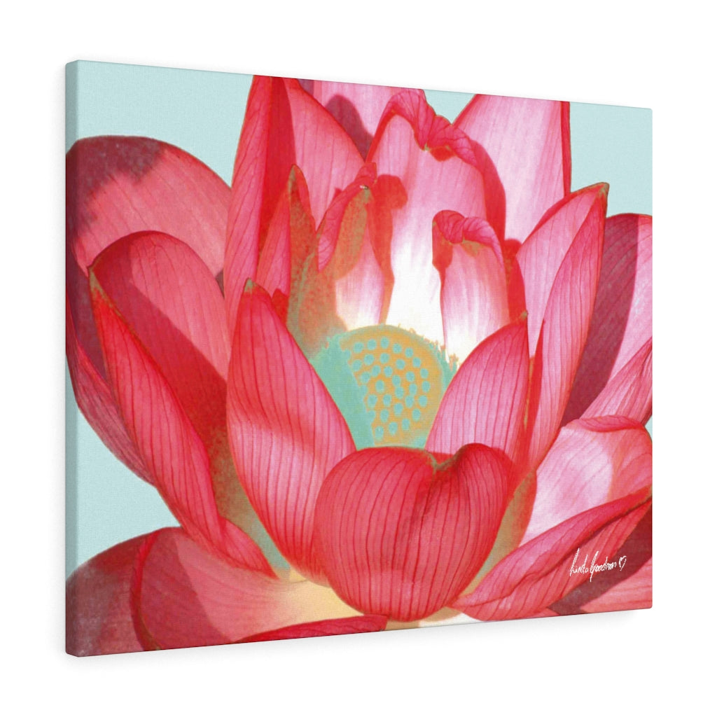 Original Art Premium Gallery Canvas by Linda Goodman