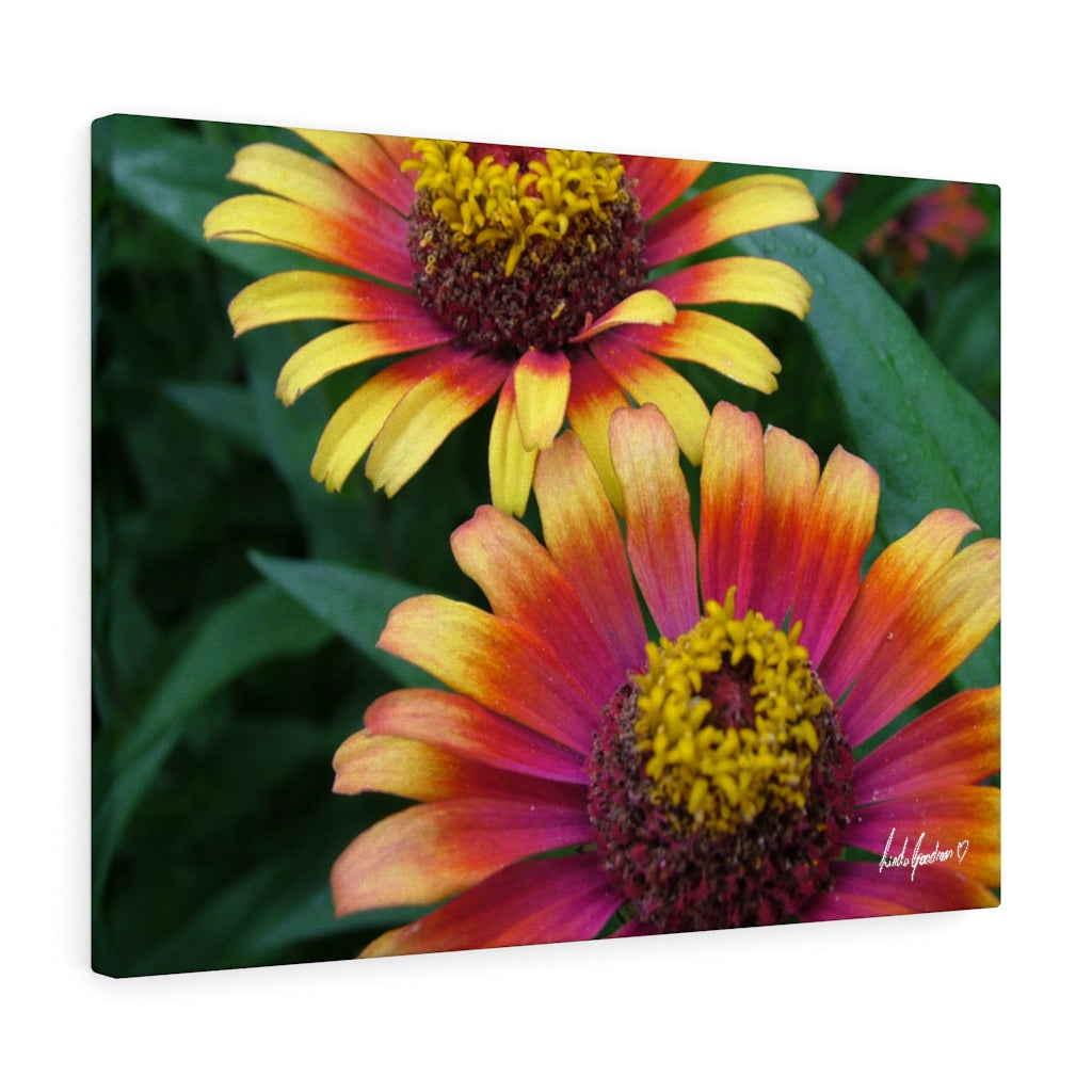 Original Art Premium Gallery Canvas by Linda Goodman