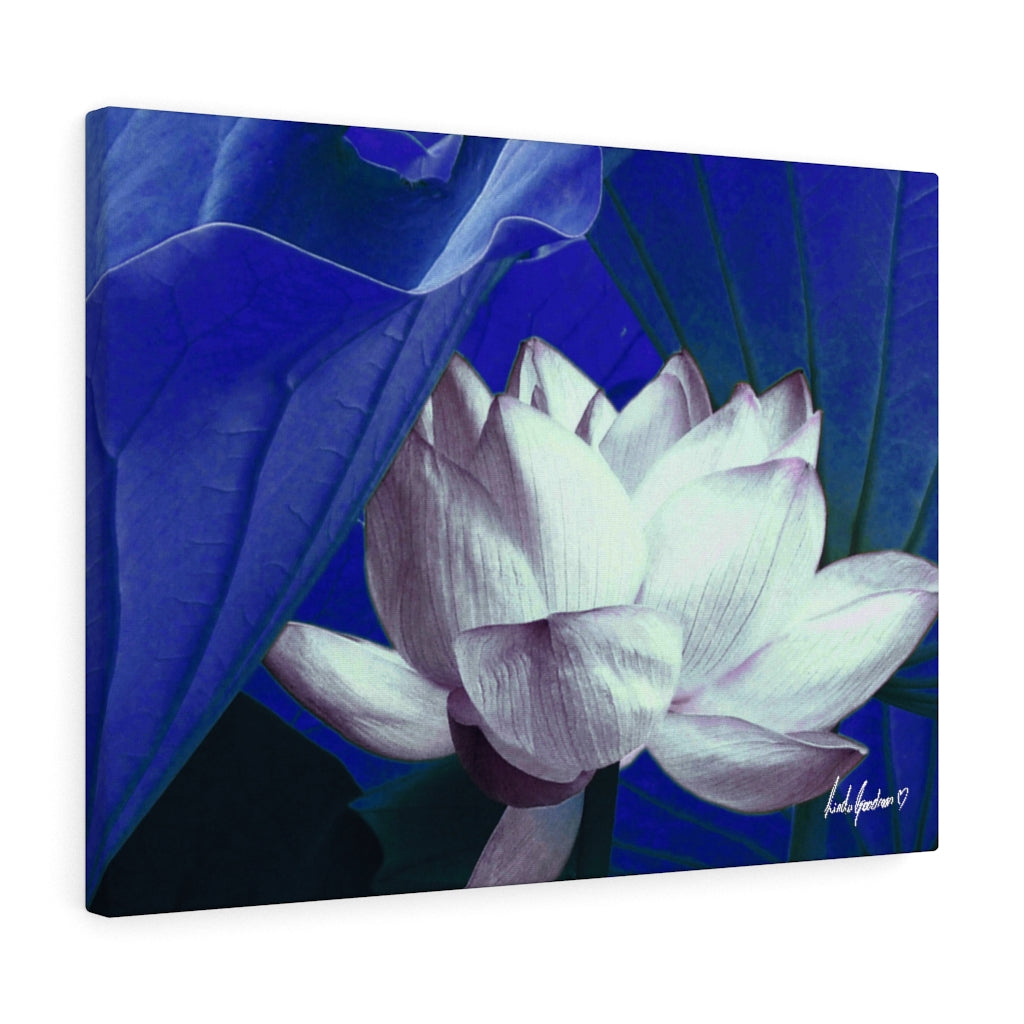 Original Art Premium Gallery Canvas by Linda Goodman