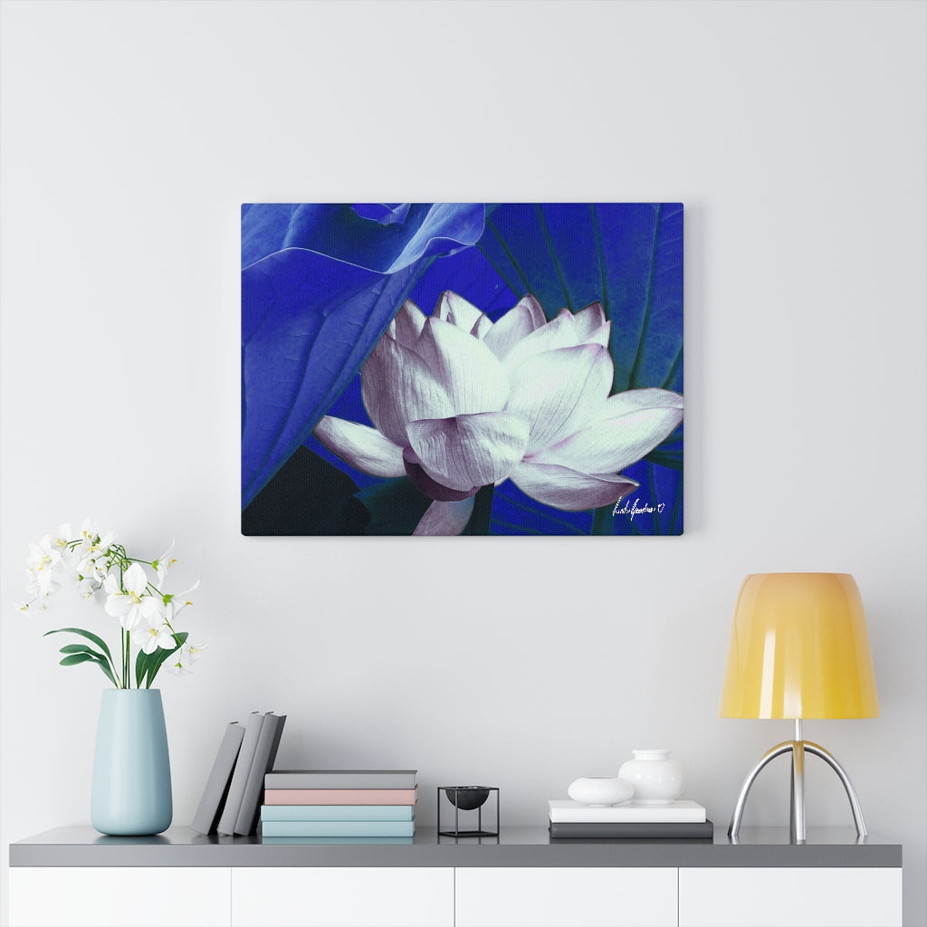 Original Art Premium Gallery Canvas by Linda Goodman