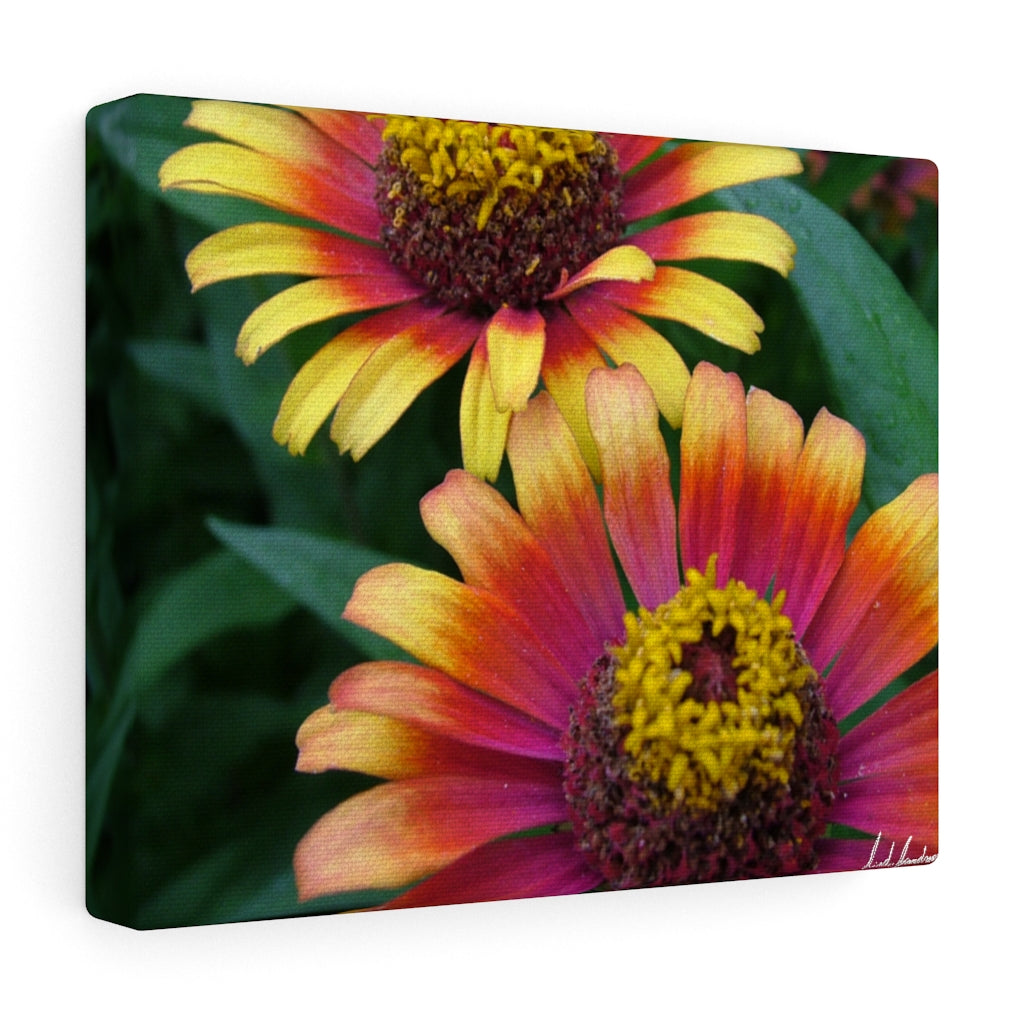 Original Art Premium Gallery Canvas by Linda Goodman