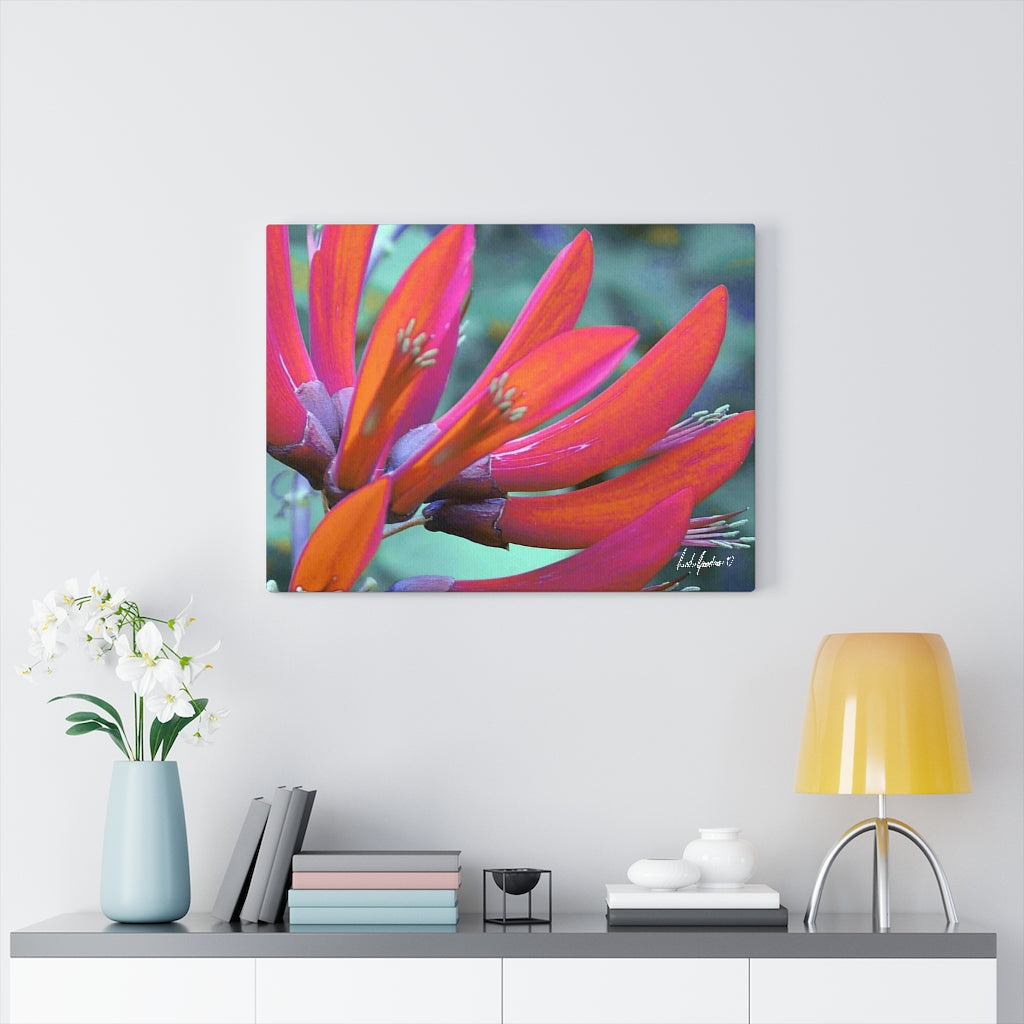Original Art Premium Gallery Canvas by Linda Goodman