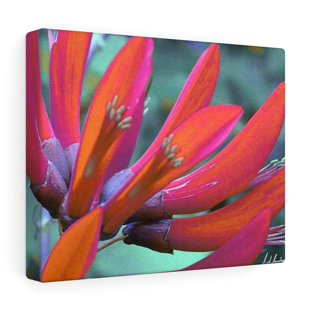 Original Art Premium Gallery Canvas by Linda Goodman