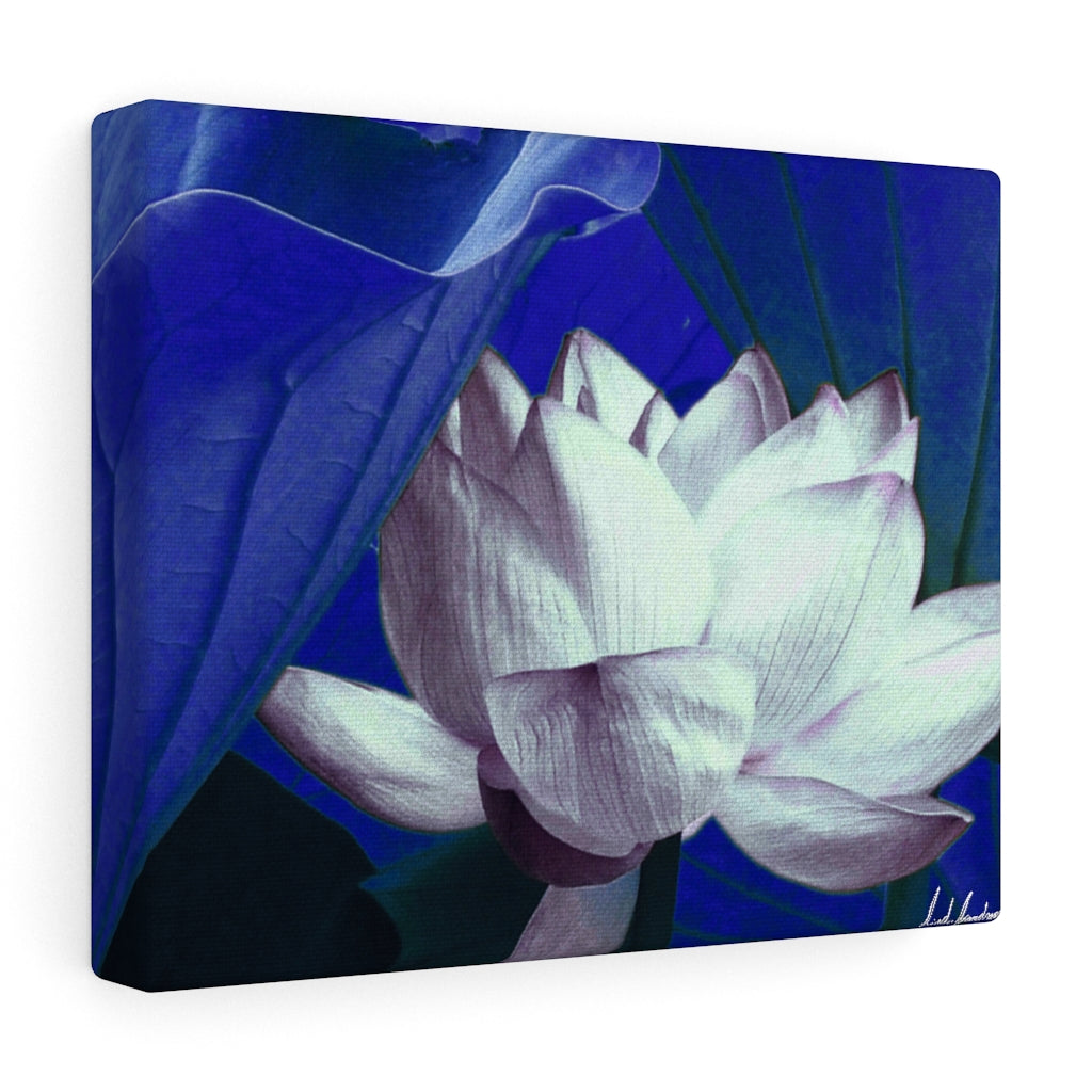 Original Art Premium Gallery Canvas by Linda Goodman