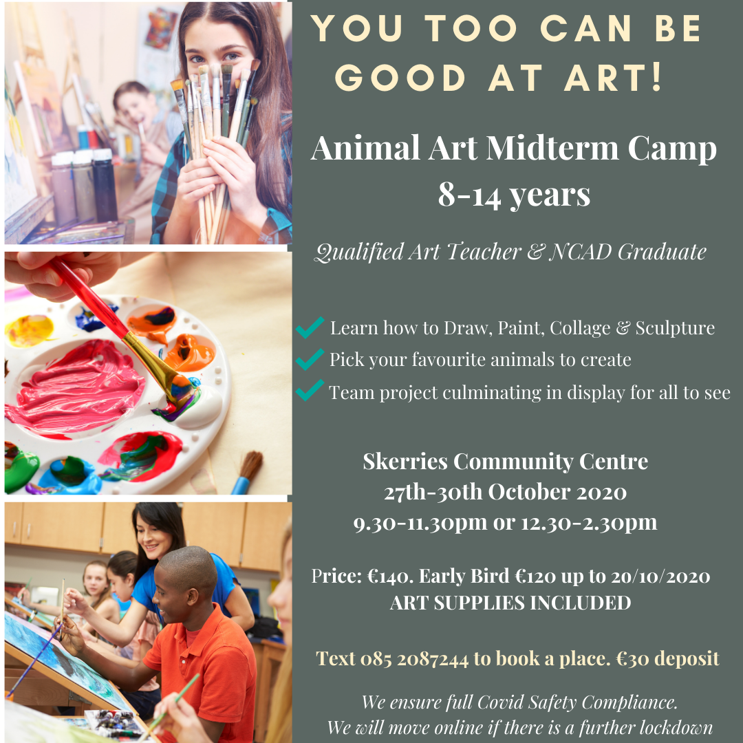 Midterm Art Camp Oct 2020-Skerries Community Centre