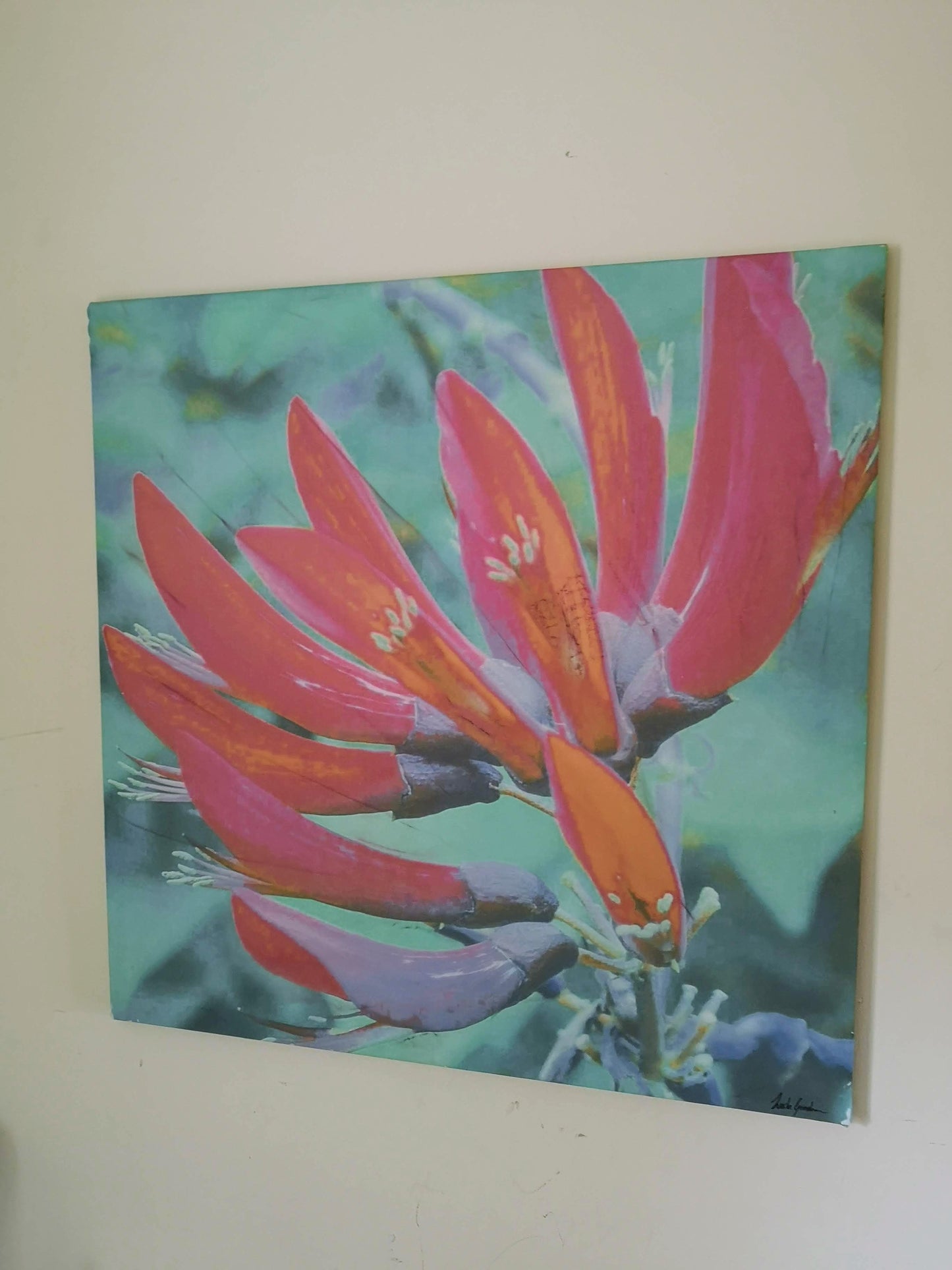 Original Art Photography- Pink & Orange Paw Flower