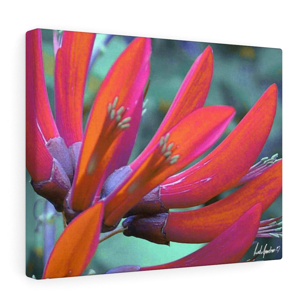 Original Art Premium Gallery Canvas by Linda Goodman