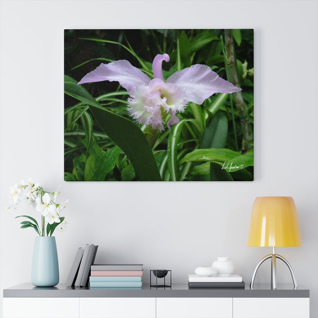 Original Art Premium Gallery Canvas by Linda Goodman
