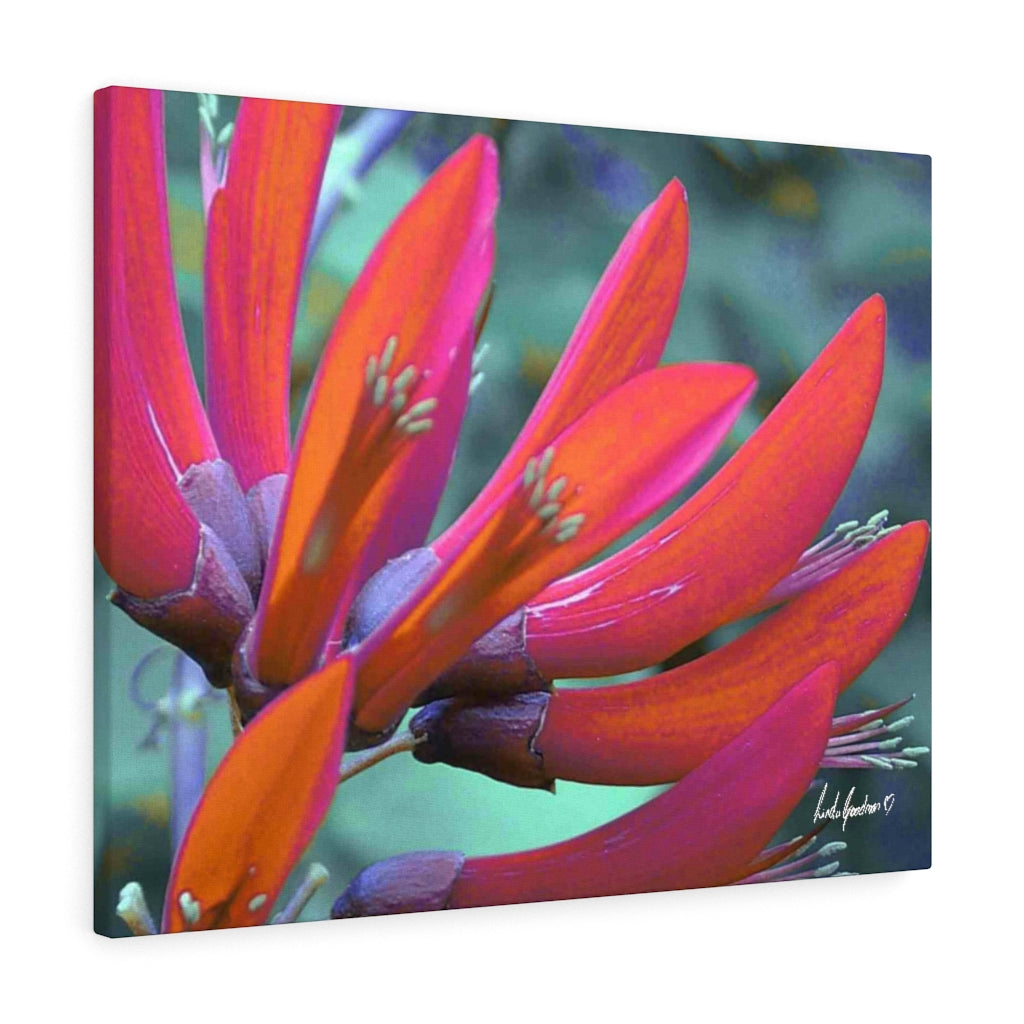 Original Art Premium Gallery Canvas by Linda Goodman
