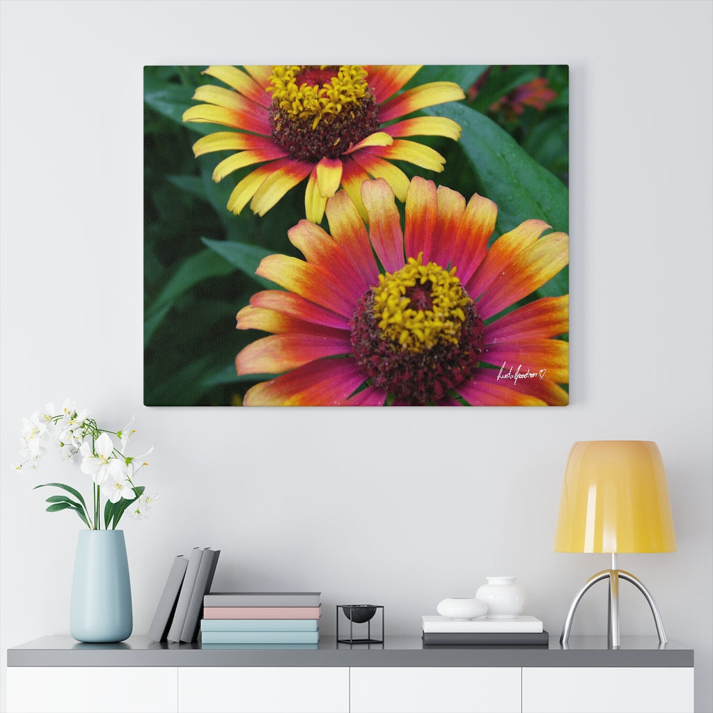 Original Art Premium Gallery Canvas by Linda Goodman