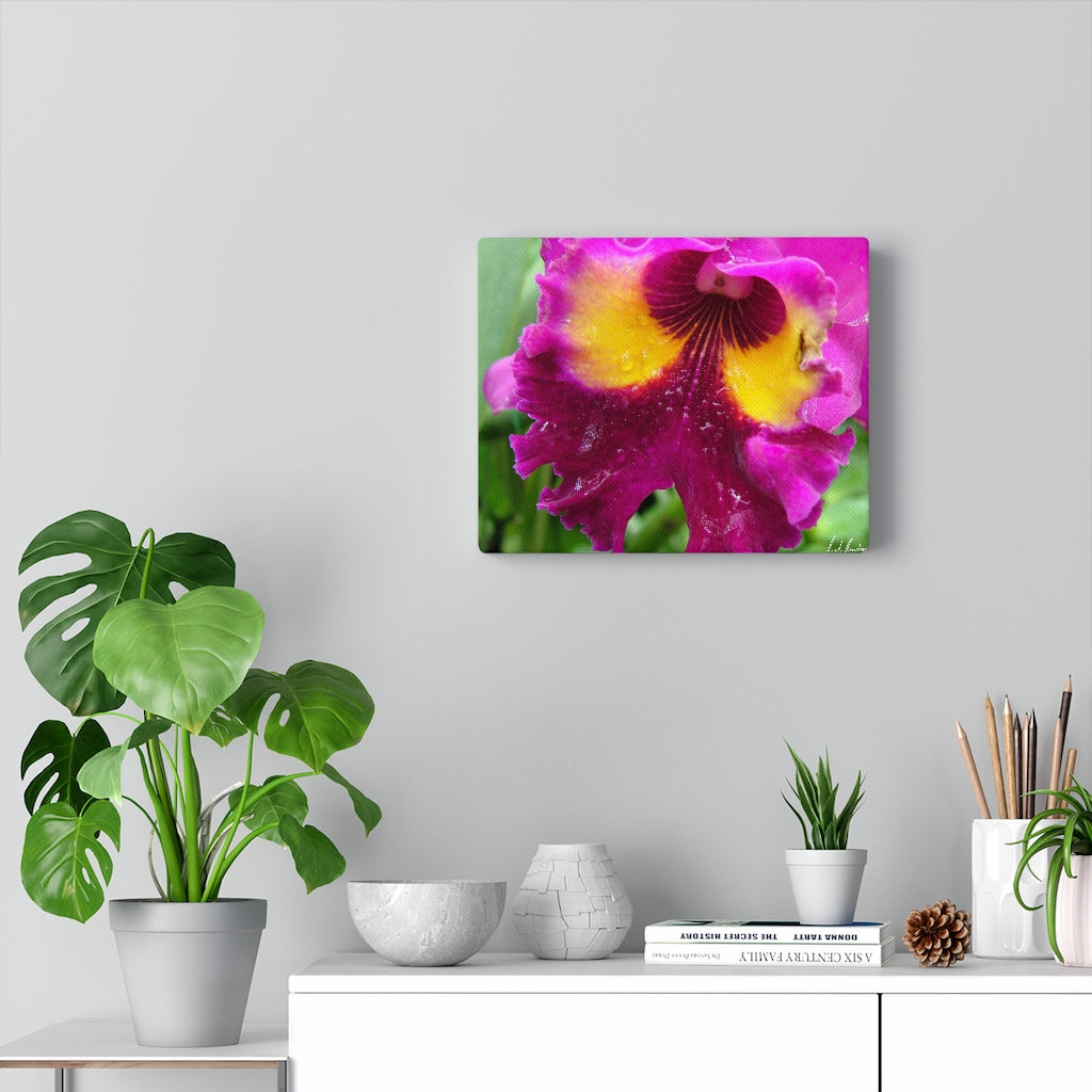Original Art Premium Gallery Canvas by Linda Goodman