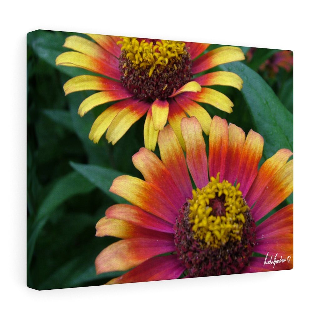 Original Art Premium Gallery Canvas by Linda Goodman
