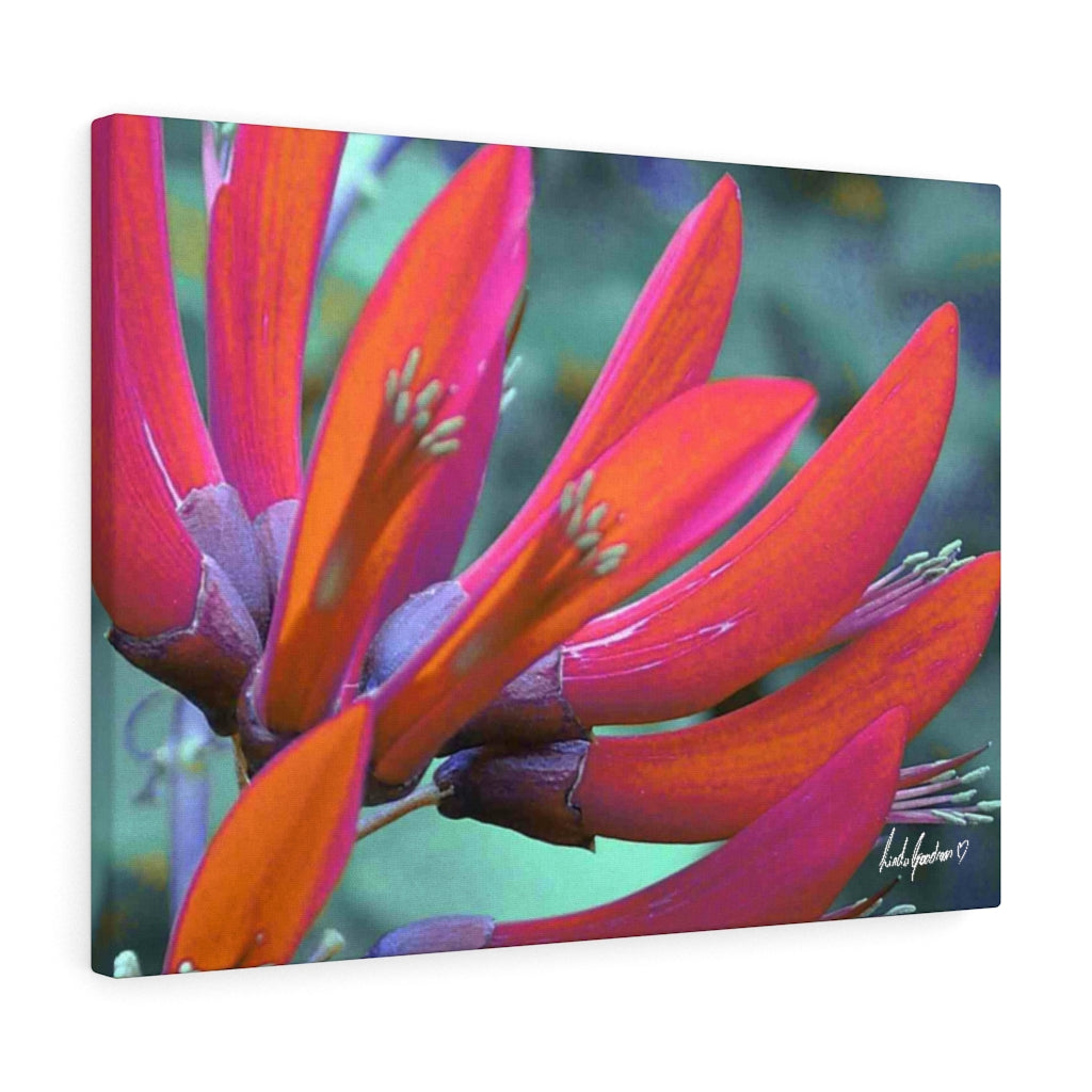 Original Art Premium Gallery Canvas by Linda Goodman