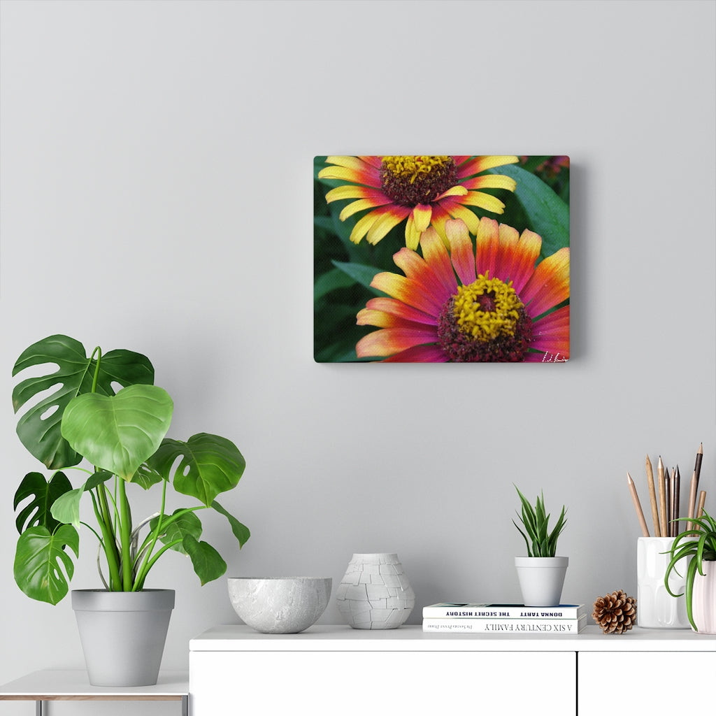 Original Art Premium Gallery Canvas by Linda Goodman